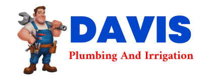 Trusted plumber in RINGOES